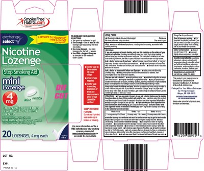 Nicotine-lozenge-image (957 Cz Nicotine Lozenge Image)
